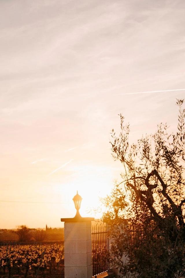 Soul Farm Mas Els Igols Villa Torrellas de Foix ภายนอก รูปภาพ