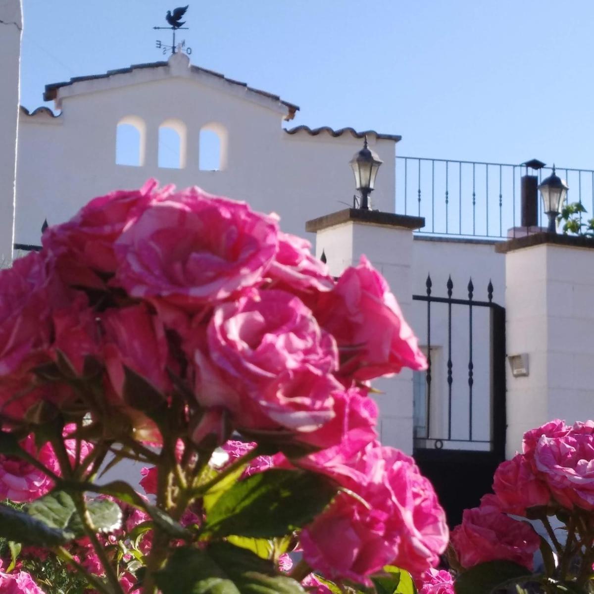 Soul Farm Mas Els Igols Villa Torrellas de Foix ภายนอก รูปภาพ